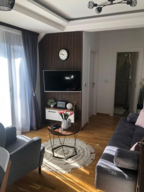 Zlatibor AltaVista apartman Zlatibor